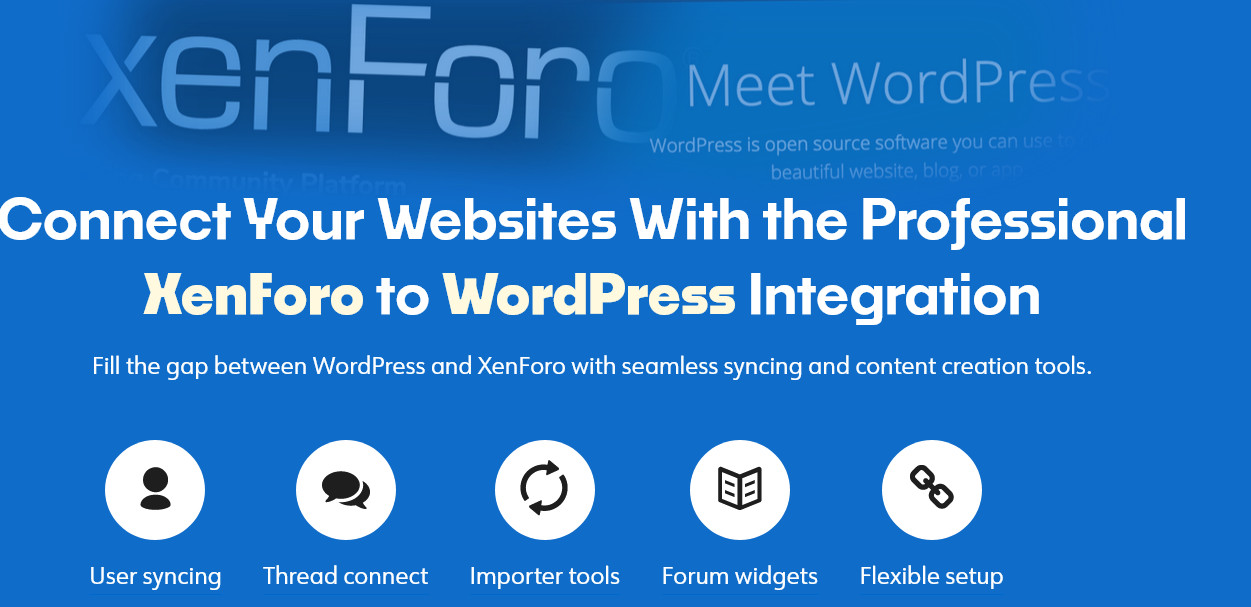 Case Study: Bridging WordPress and XenForo with Custom Plugin Development